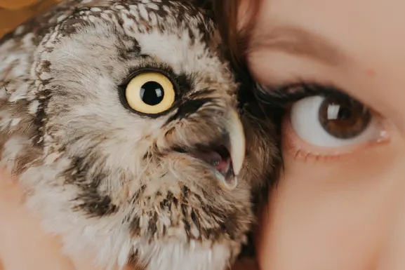 Lottomart Kasino Tuki